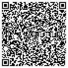 QR code with Bleyle Consulting LLC contacts