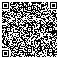 QR code with Shell contacts