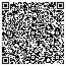 QR code with Carlson Testing Inc contacts