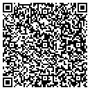QR code with Boyles Electric Inc contacts