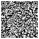 QR code with Property Panacea contacts