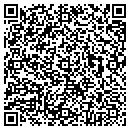 QR code with Public Works contacts