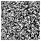 QR code with Pulse Drying Systems Inc contacts