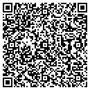 QR code with Public Works contacts