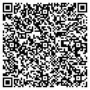 QR code with Punk-N-Barrys contacts
