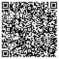 QR code with O Paddy contacts