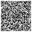 QR code with Cupids Knoll Design contacts