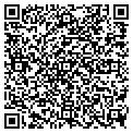QR code with Q Lube contacts