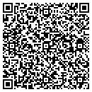 QR code with Blayre Alternatives contacts