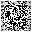 QR code with Pyramus Online contacts