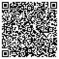 QR code with Dkwdiv contacts