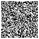 QR code with Precision Satellite contacts