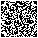 QR code with Pro Systems contacts