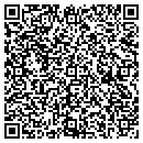 QR code with Pqa Construction Inc contacts