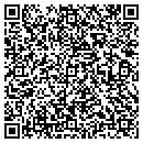 QR code with Clint's Custom Colors contacts