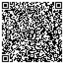 QR code with Cyphon Design contacts