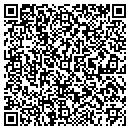 QR code with Premium Spas & Stoves contacts
