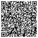 QR code with C3gm contacts