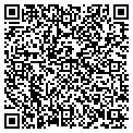 QR code with Lr LLC contacts