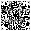QR code with County Surveying contacts