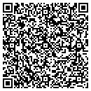 QR code with Princess Pines contacts