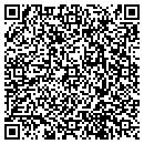 QR code with Borg School of Dance contacts