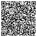 QR code with Servco contacts
