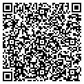 QR code with Estilo contacts