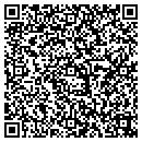 QR code with Process Automation Inc contacts