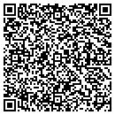 QR code with Precision Performance contacts