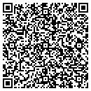 QR code with Premiere Electric contacts