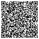 QR code with Pristine Floor Care contacts
