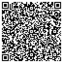 QR code with Puddle Jumper Press contacts
