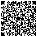 QR code with Puzzle Shop contacts
