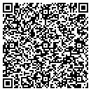QR code with Csts Inc contacts