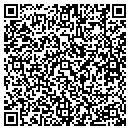 QR code with Cyber Systems Inc contacts