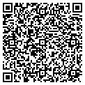 QR code with Valic contacts