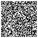 QR code with Blues Brothers D J's contacts