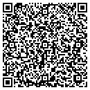 QR code with Blue Water Insurance contacts