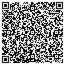 QR code with Precision Automative contacts
