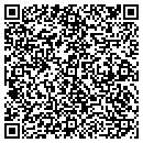 QR code with Premier Woodworks Inc contacts