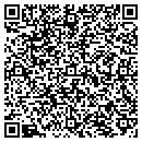 QR code with Carl W Atkins CPA contacts