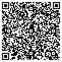 QR code with Shards contacts