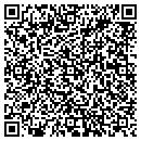 QR code with Carlson Geotechnical contacts