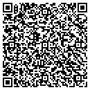 QR code with Blm Consulting Group contacts