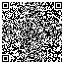 QR code with Bluespeed Technology contacts