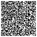 QR code with Carlson Testing Inc contacts