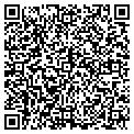 QR code with Valnet contacts