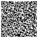 QR code with Precision Images contacts