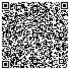 QR code with Pulse Drying Service contacts